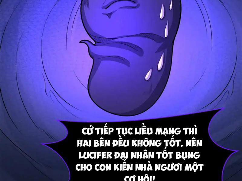 Chương 243