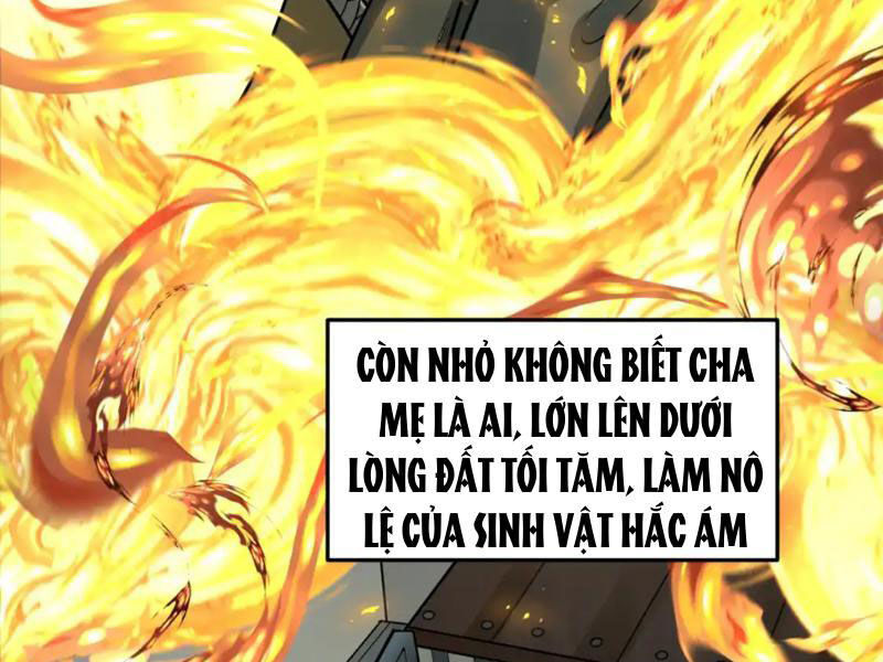 Chương 244