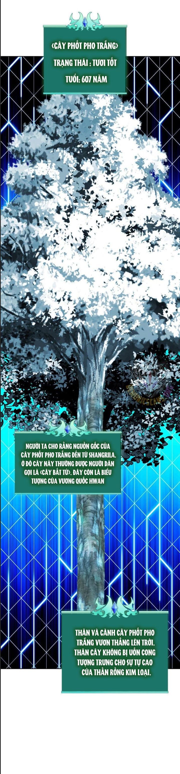 Chương 253