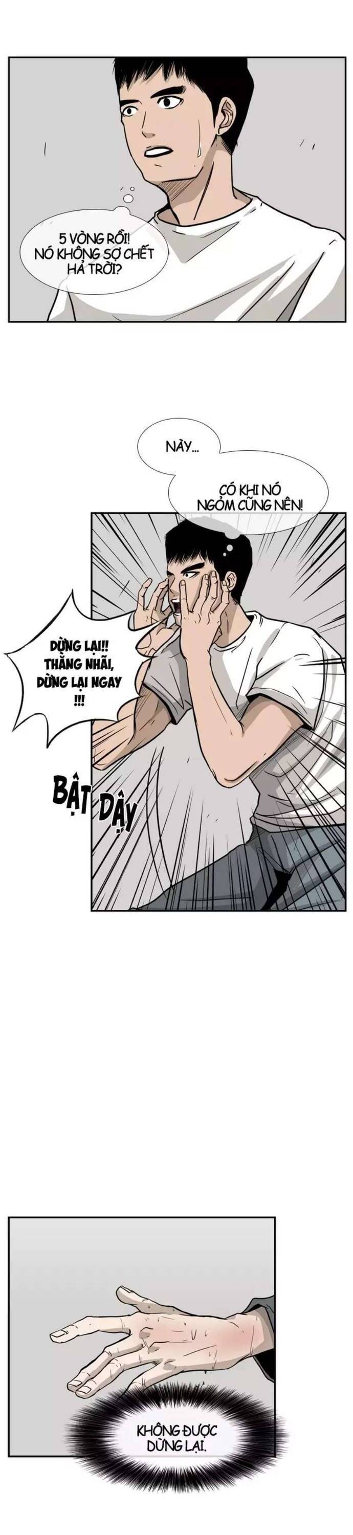 Chương 11