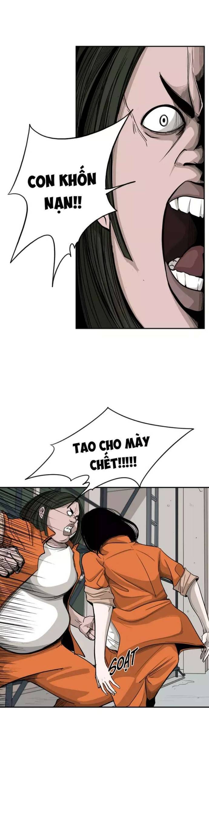 Chương 13