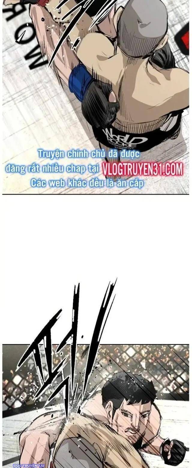 Chương 146