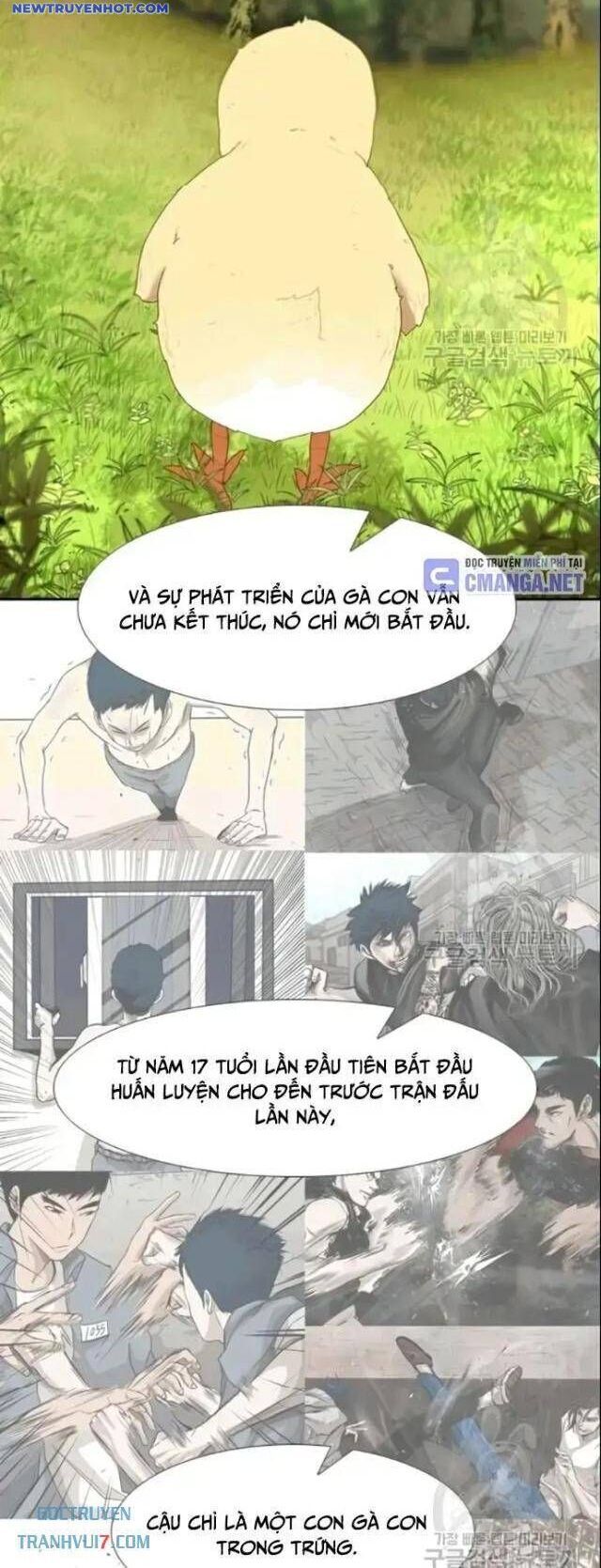 Chương 195