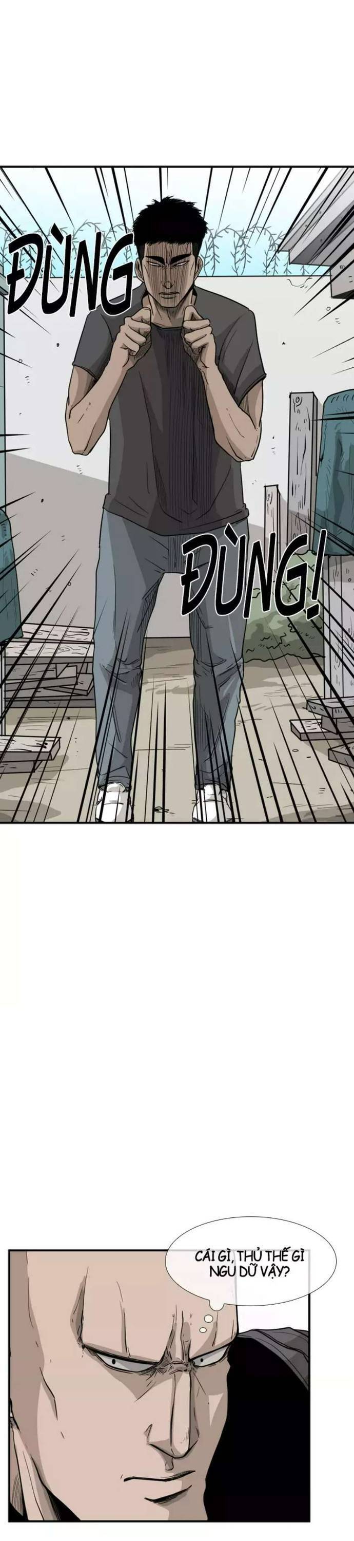 Chương 22