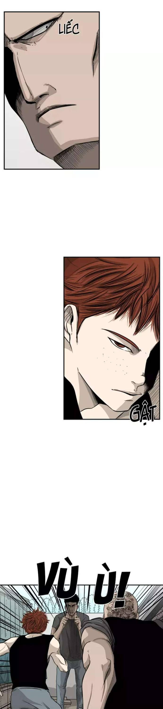 Chương 22