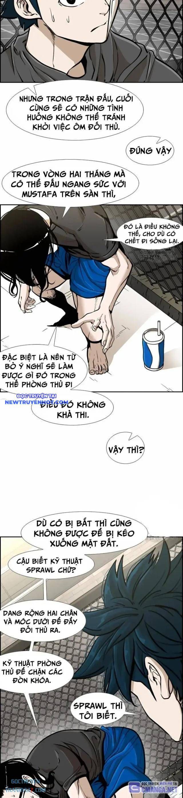 Chương 239