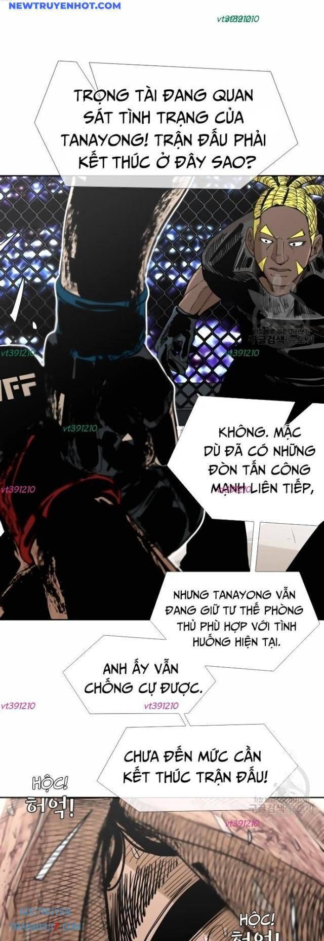 Chương 247