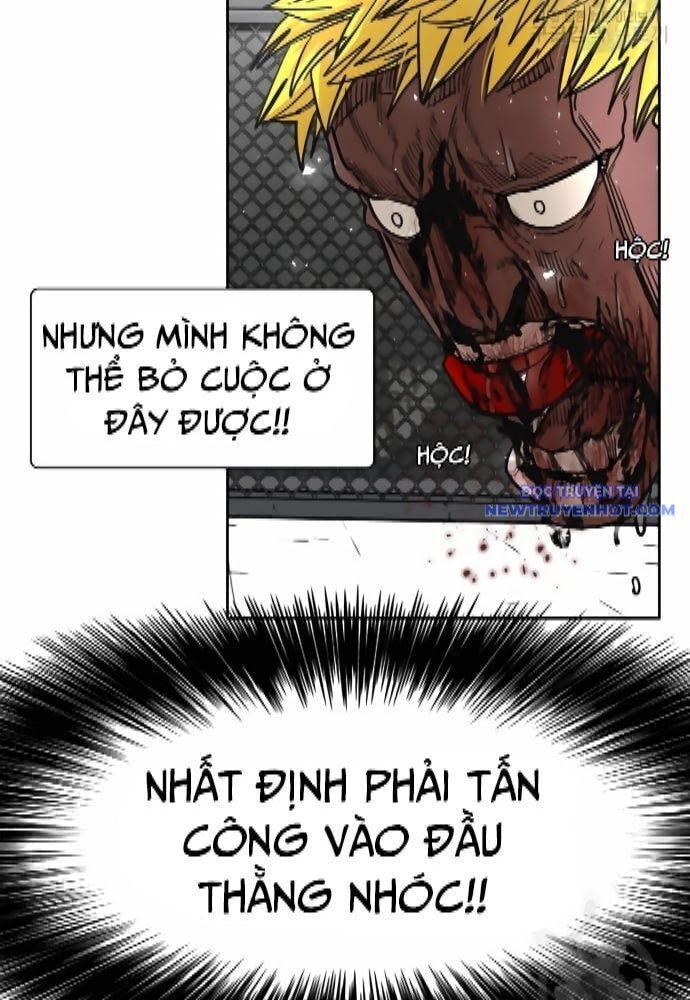 Chương 262