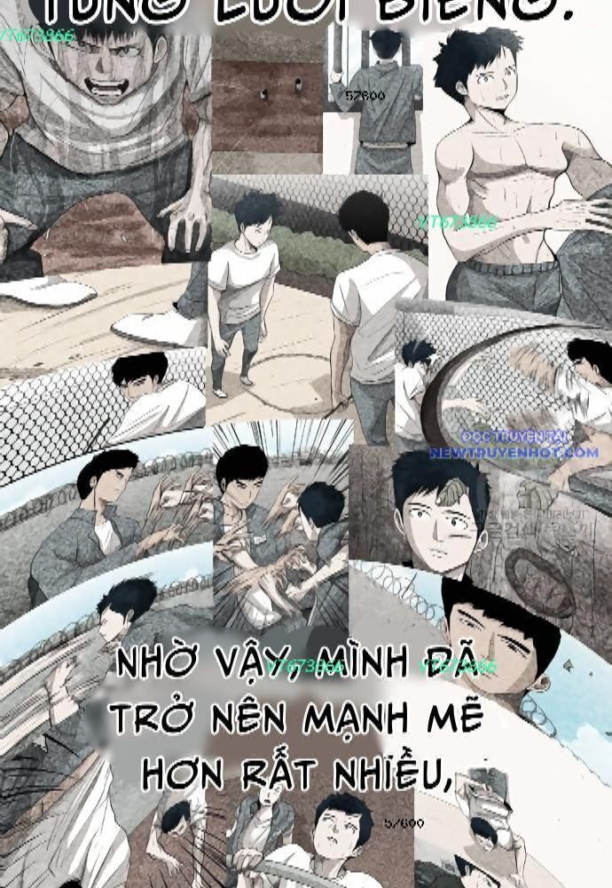 Chương 273