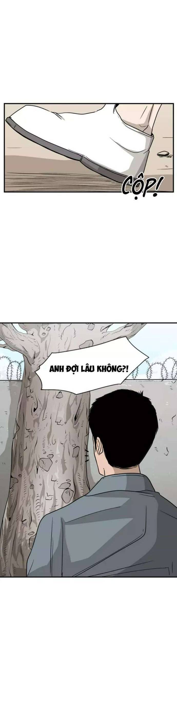 Chương 28