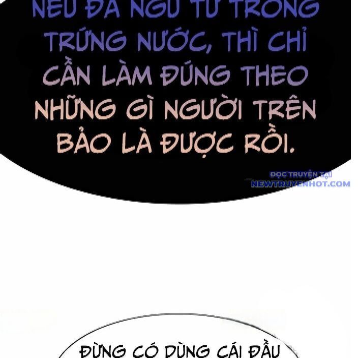 Chương 291