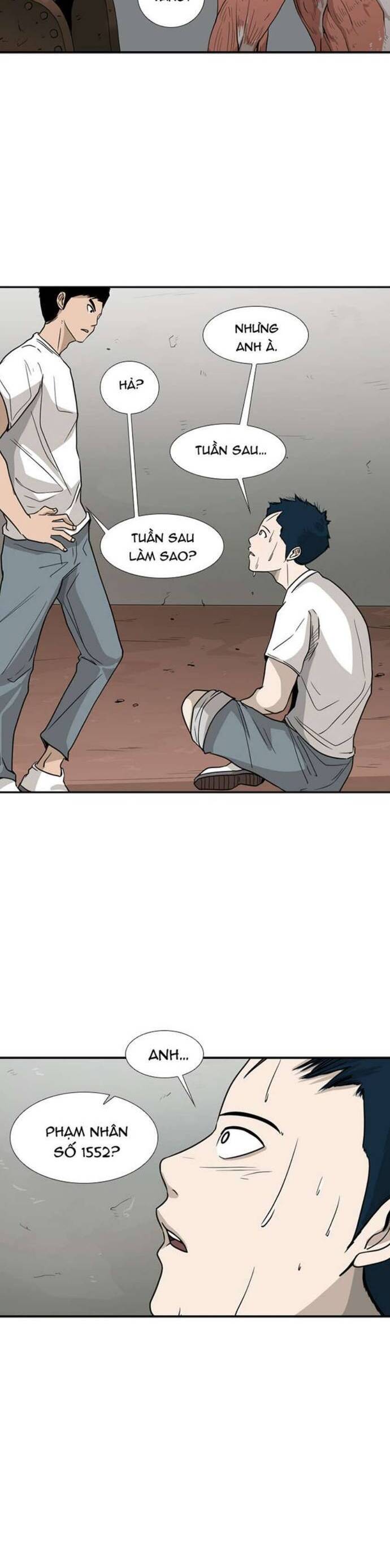 Chương 31