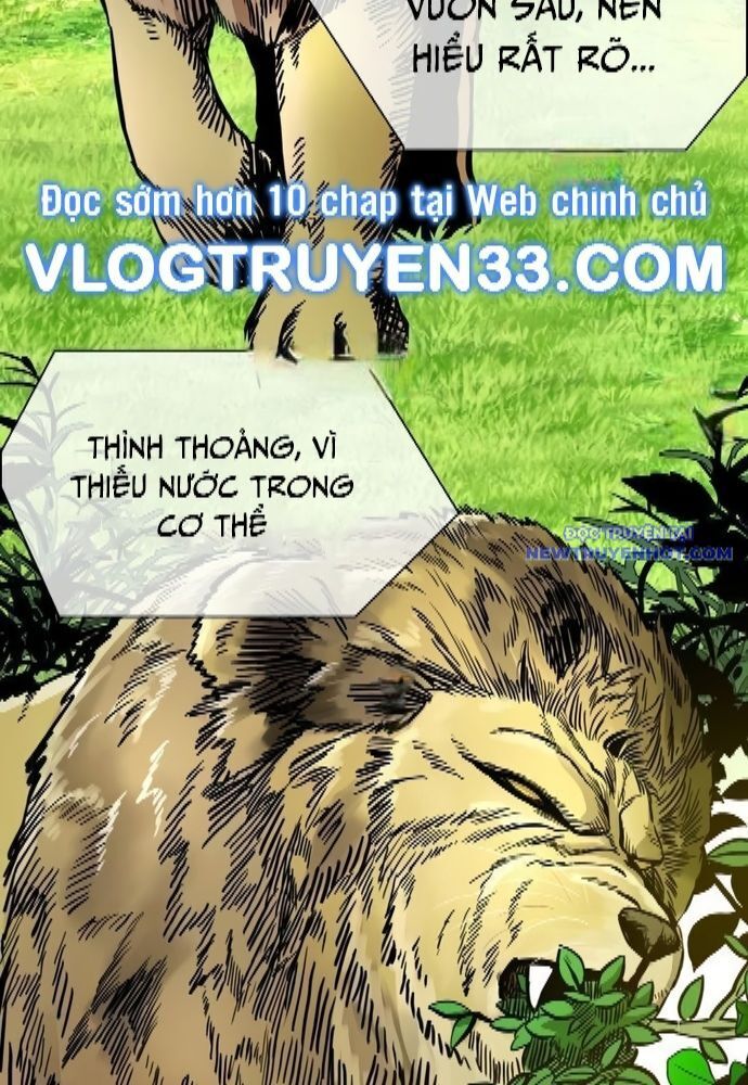 Chương 325