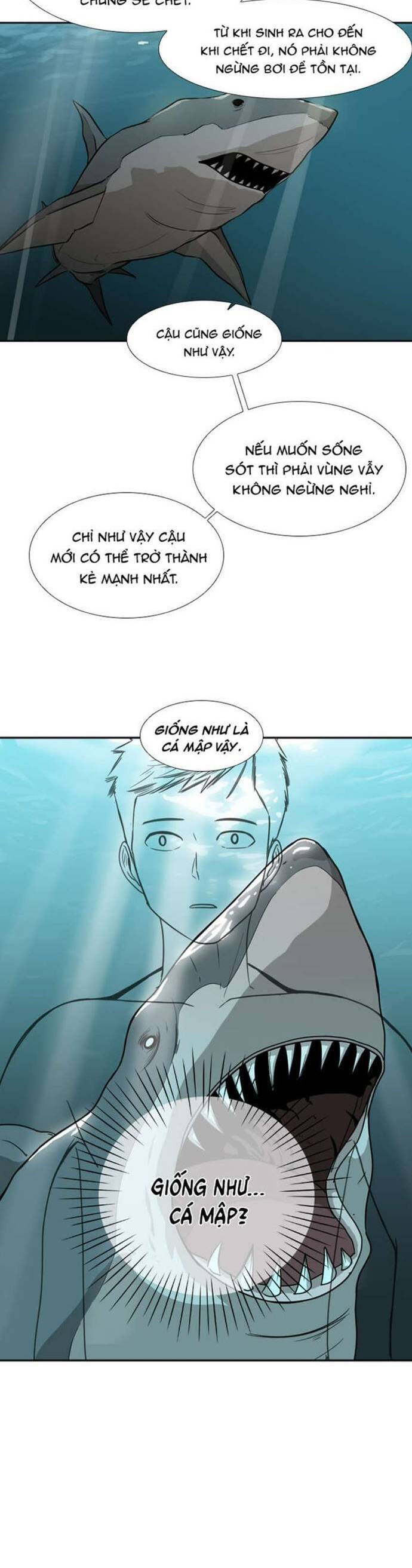 Chương 33