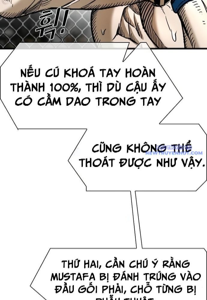 Chương 330
