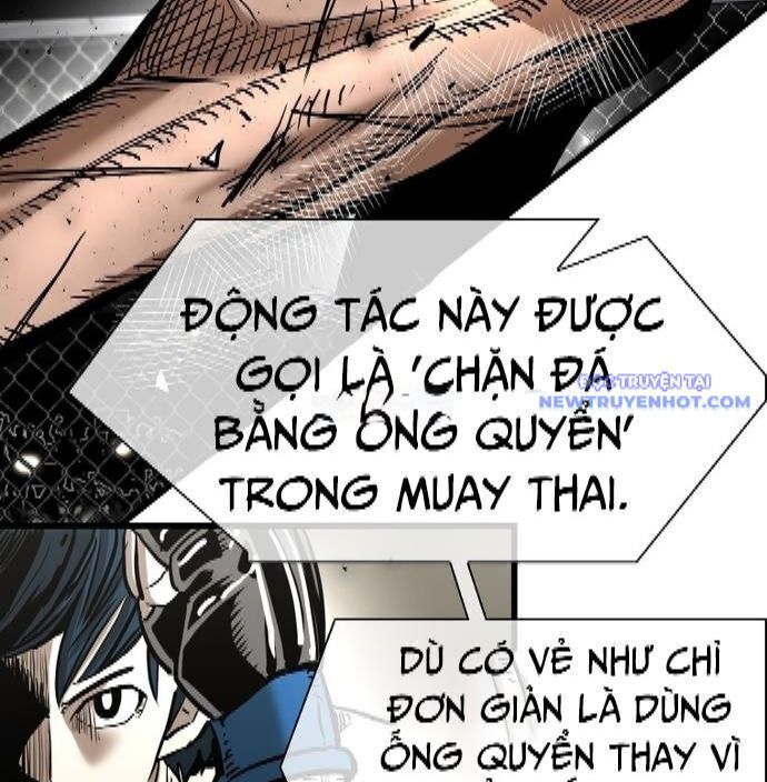 Chương 334