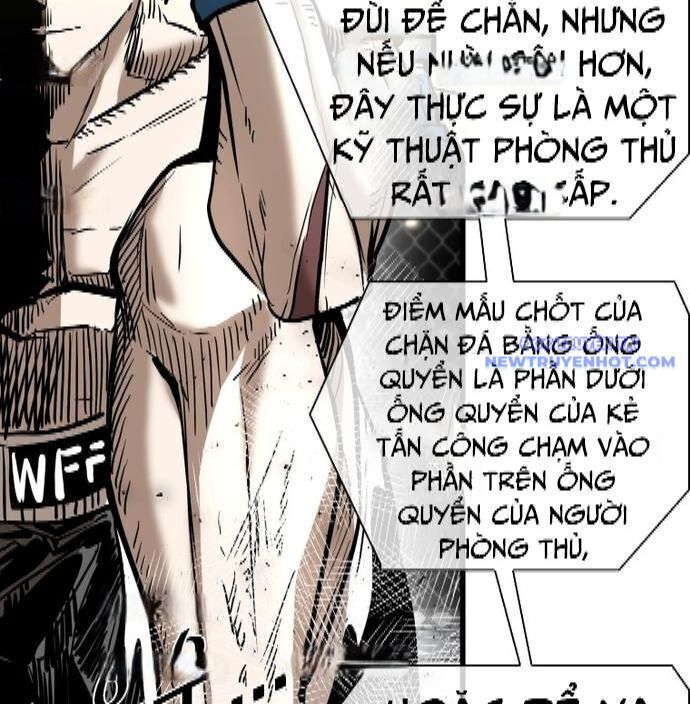 Chương 334