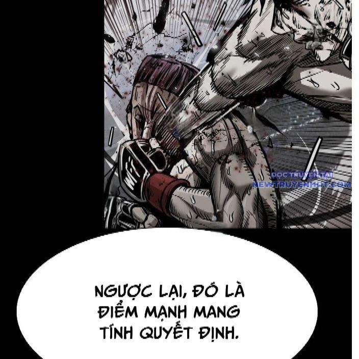 Chương 336