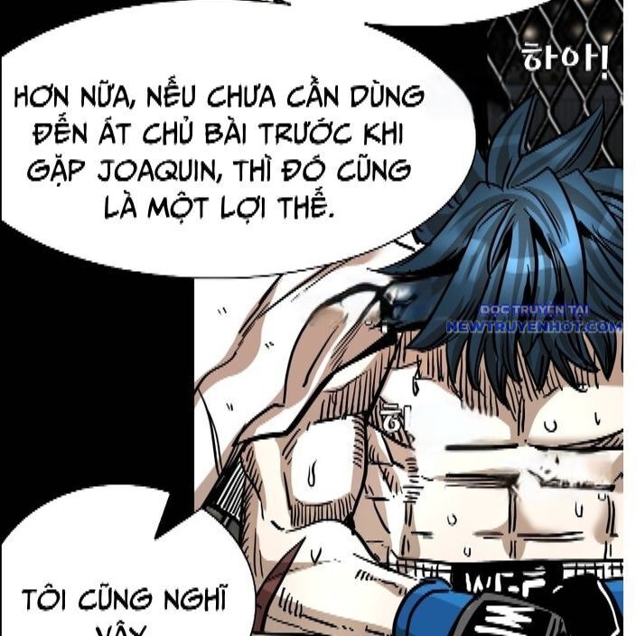 Chương 336