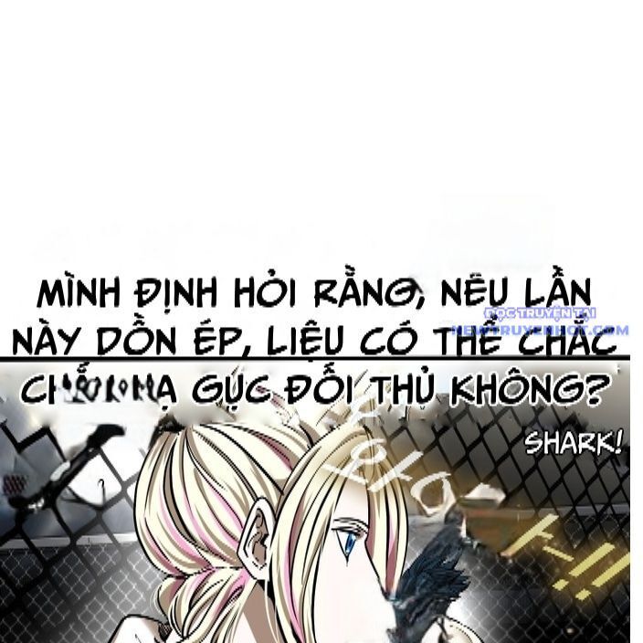 Chương 336
