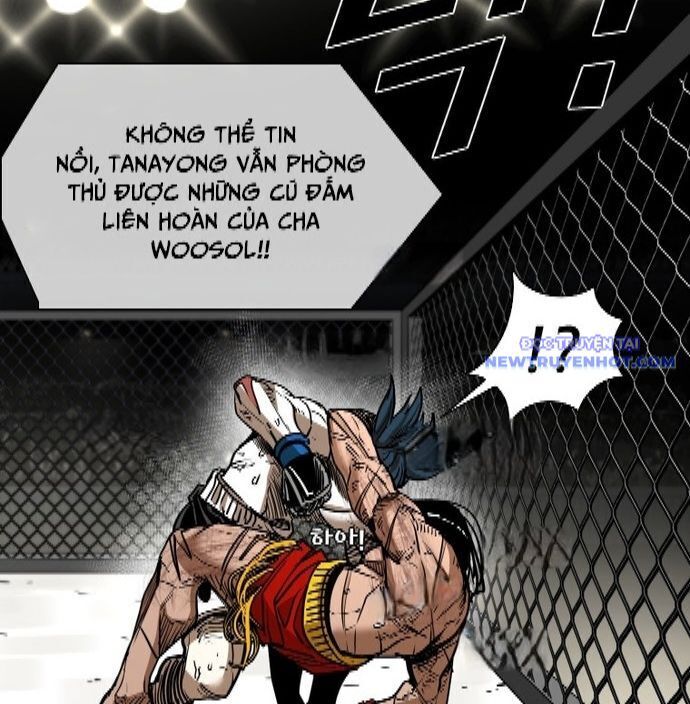Chương 338