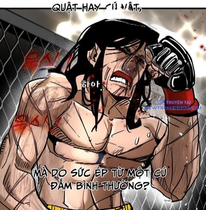 Chương 338