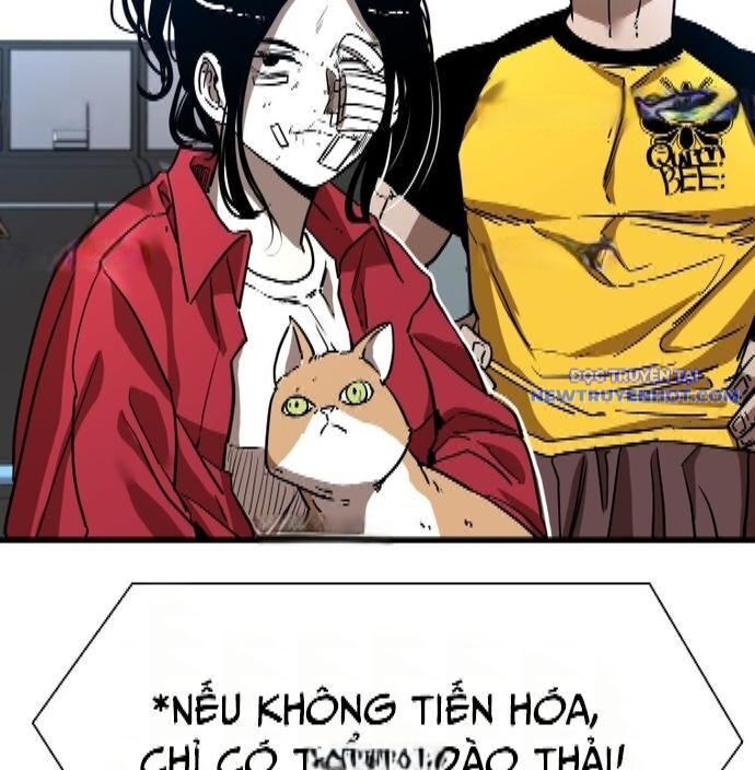 Chương 340