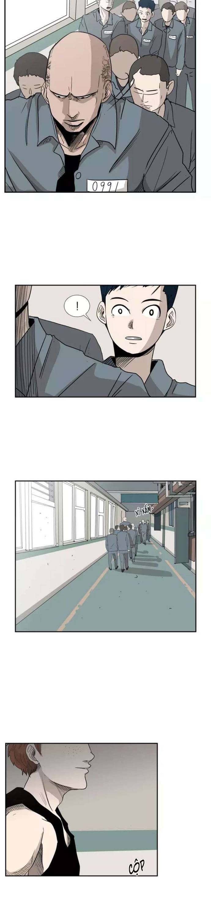 Chương 5