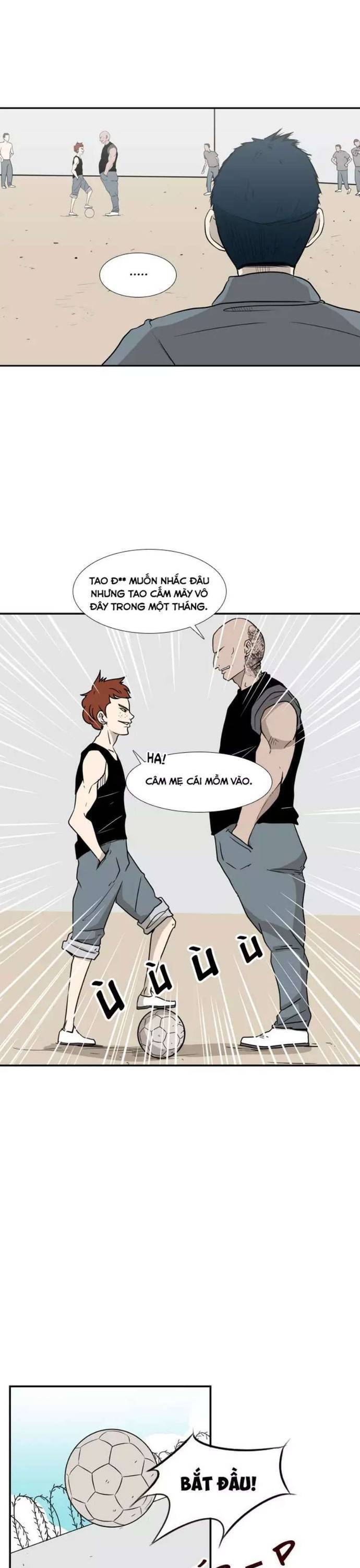 Chương 6