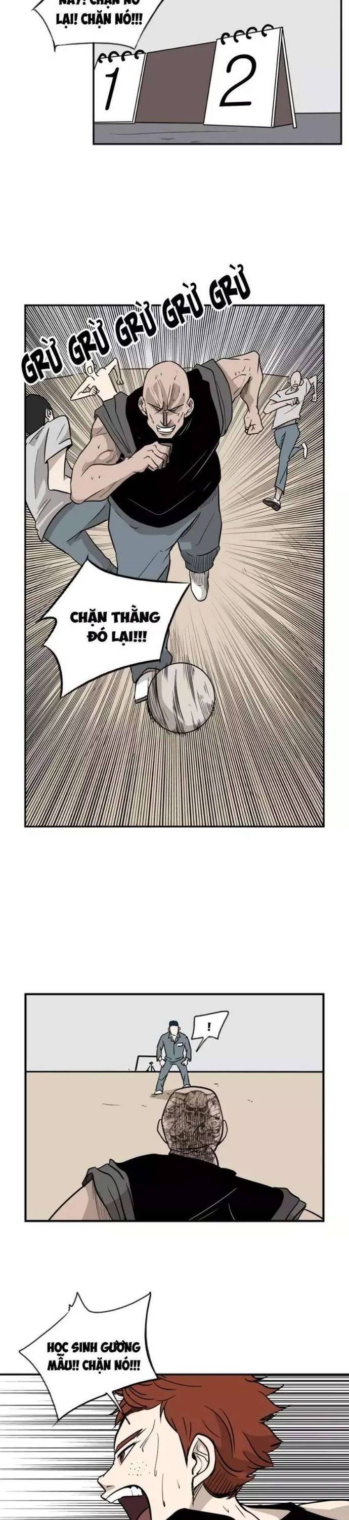 Chương 6