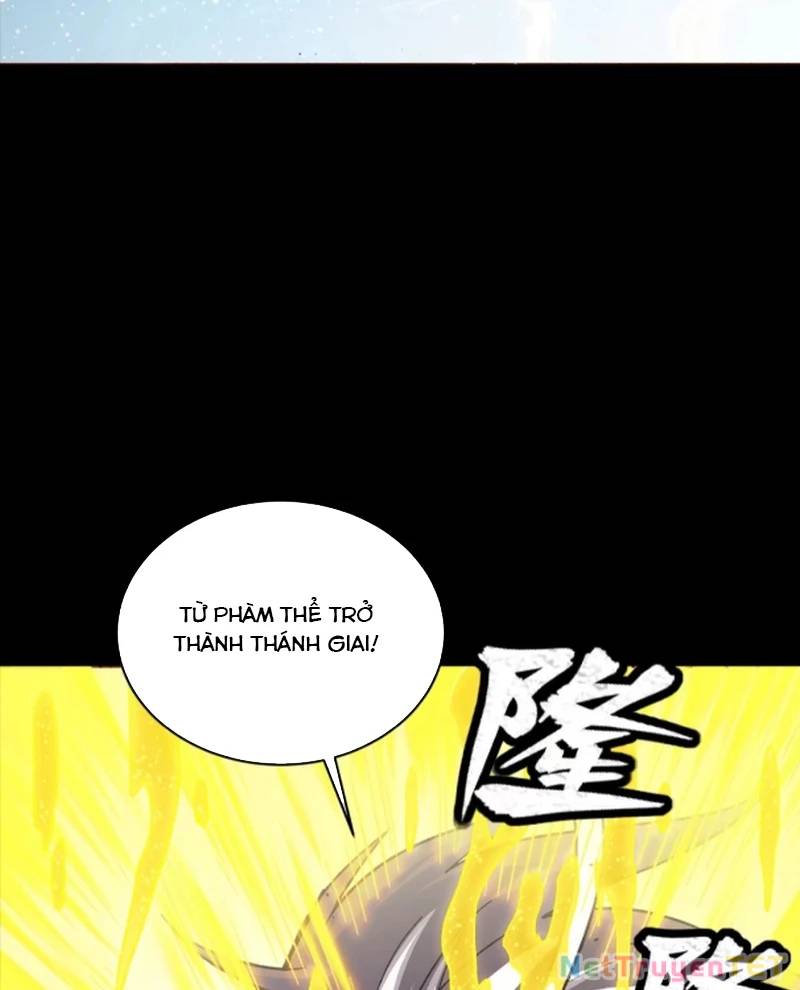 Chương 259