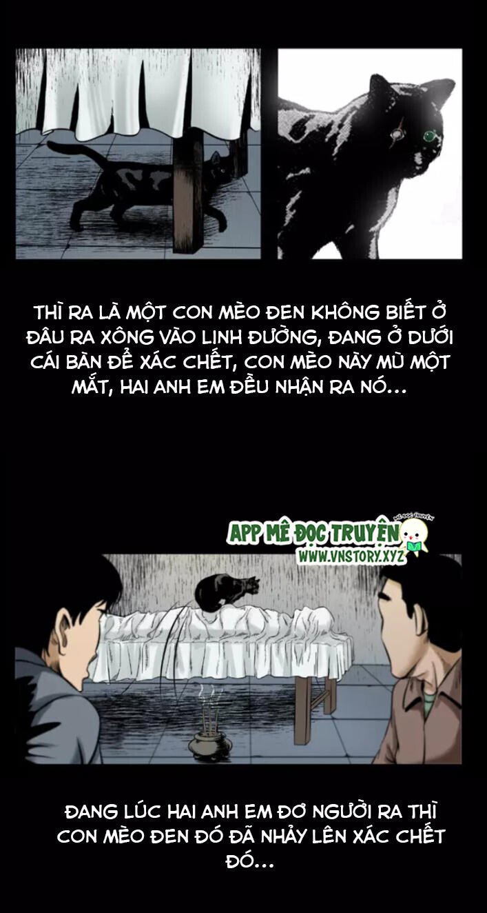 Chương 2
