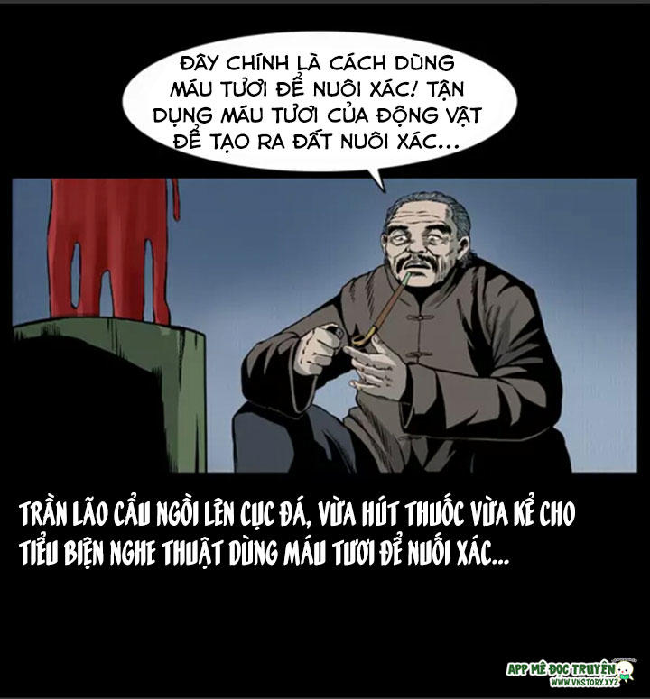 Chương 13
