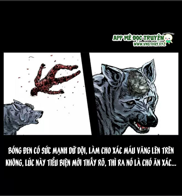Chương 14
