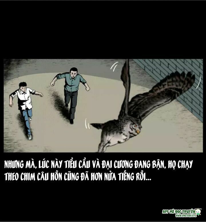Chương 16