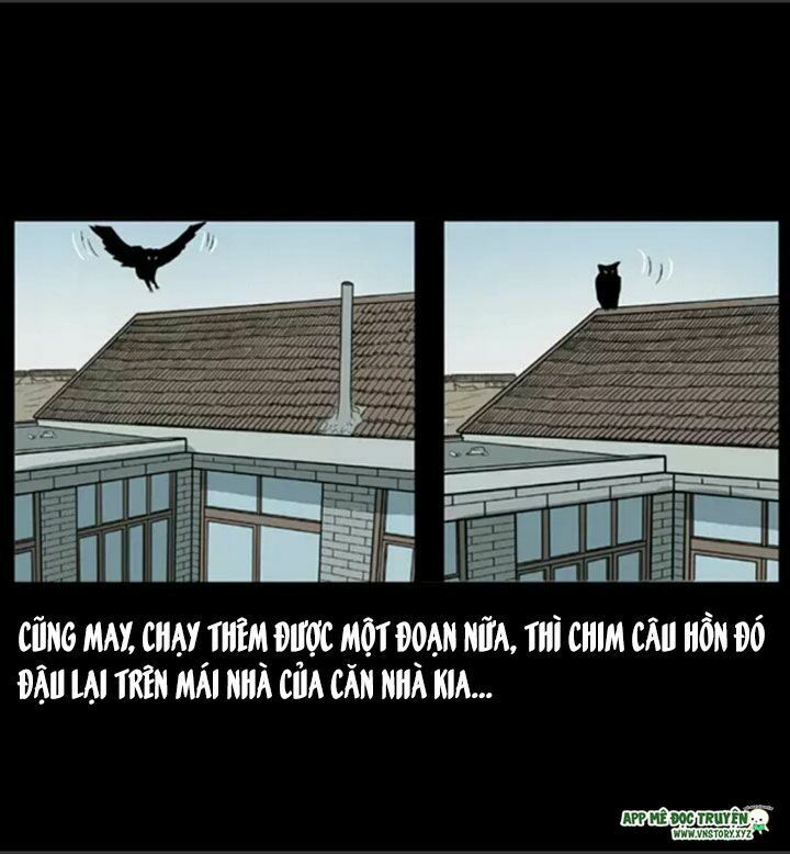 Chương 16