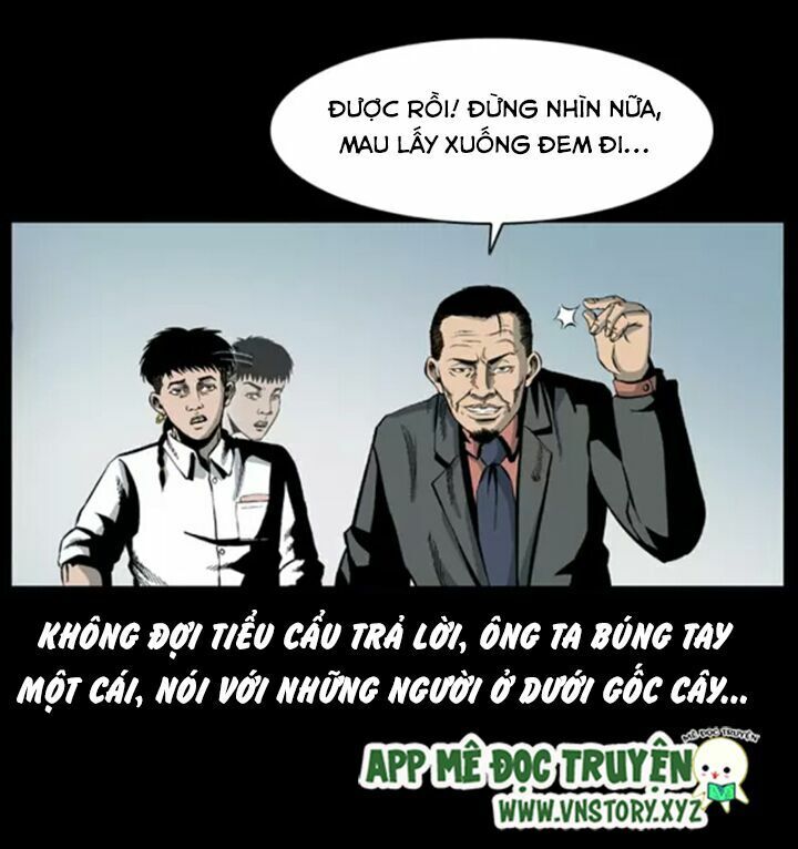 Chương 19