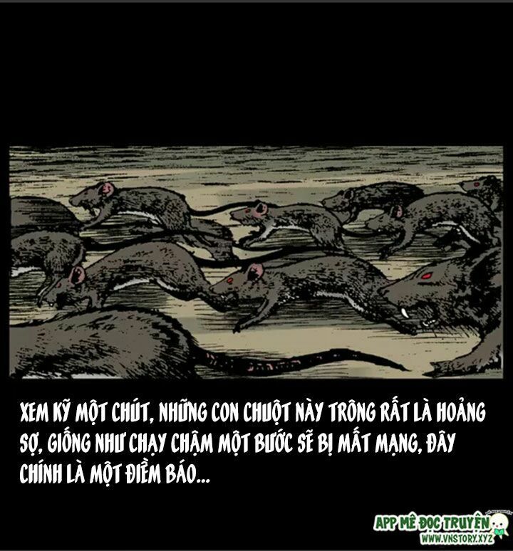 Chương 21