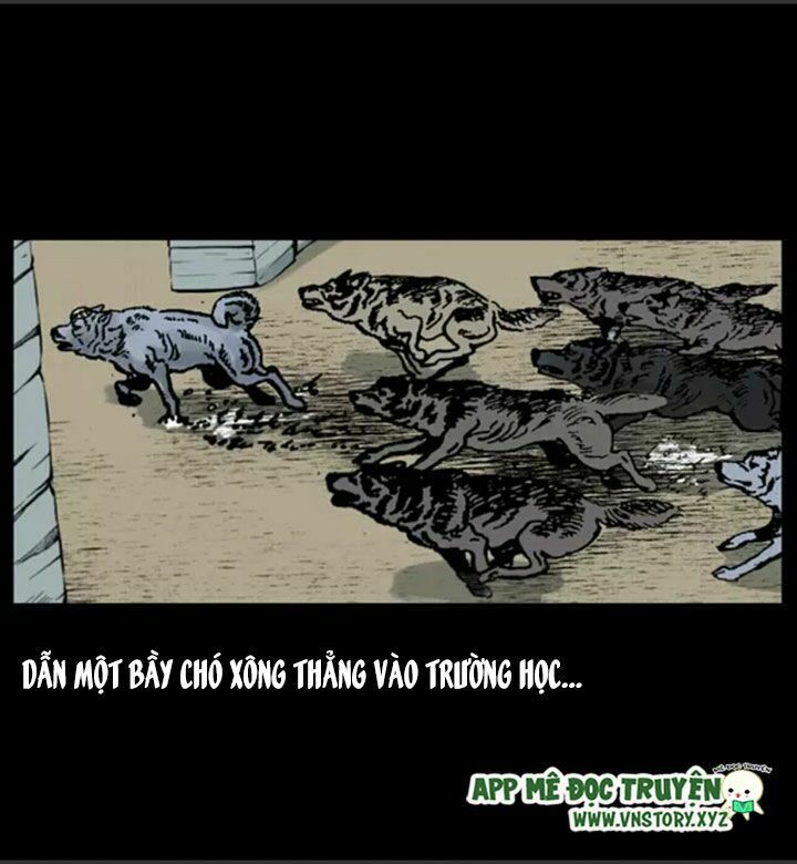 Chương 21
