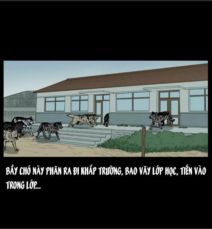 Chương 21
