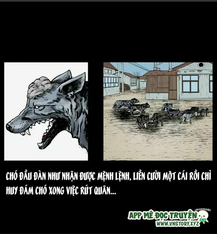Chương 21