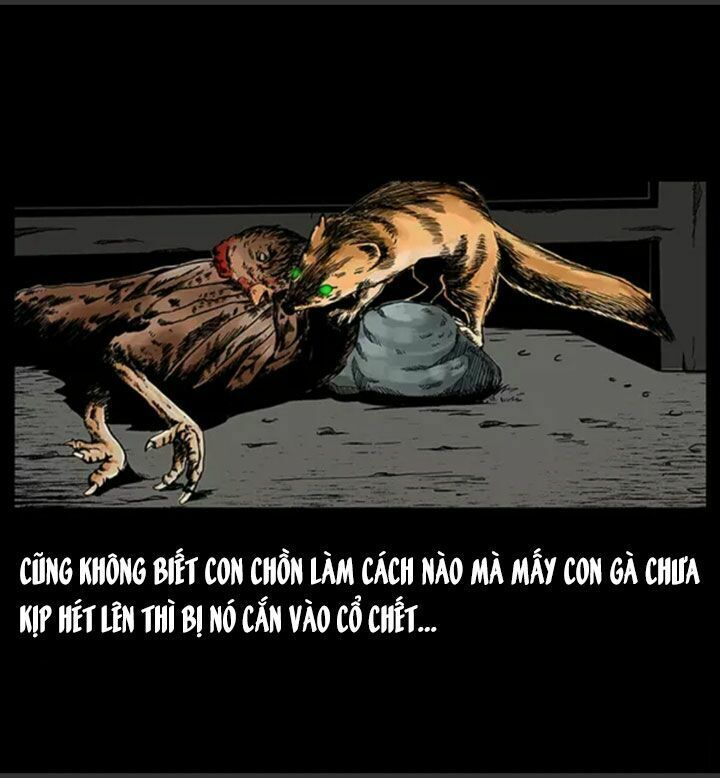 Chương 22