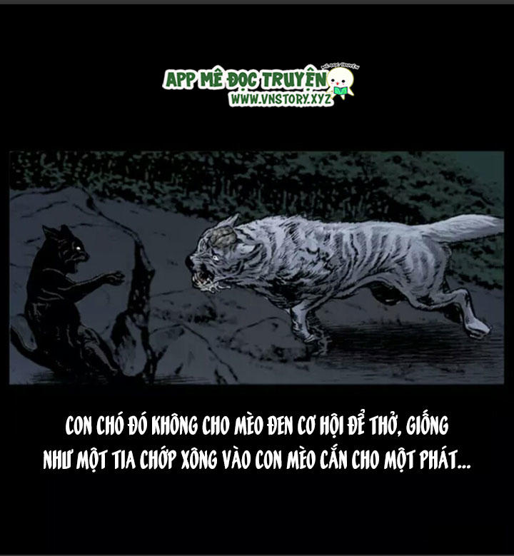 Chương 4