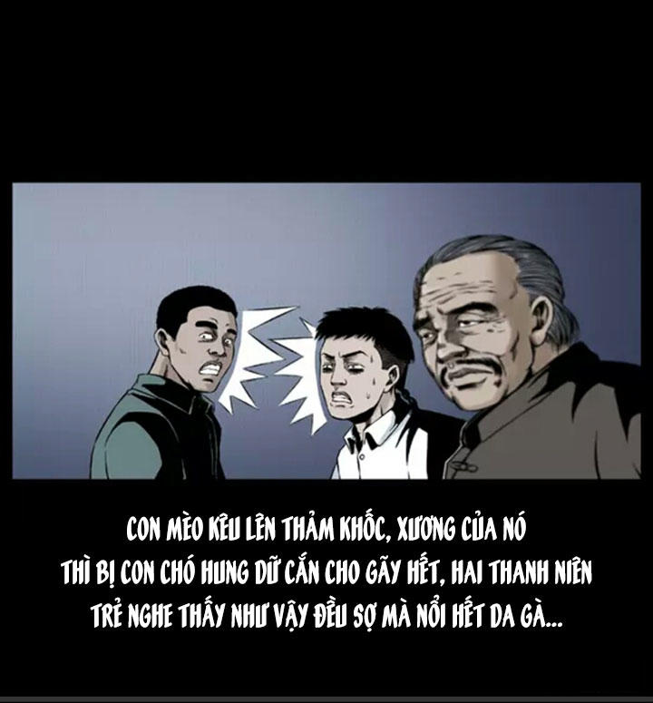 Chương 4