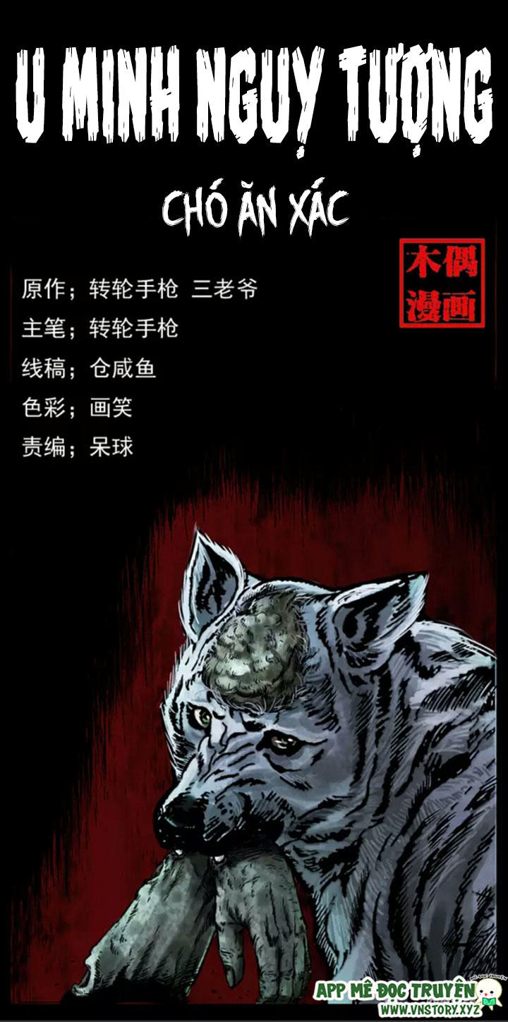 Chương 5