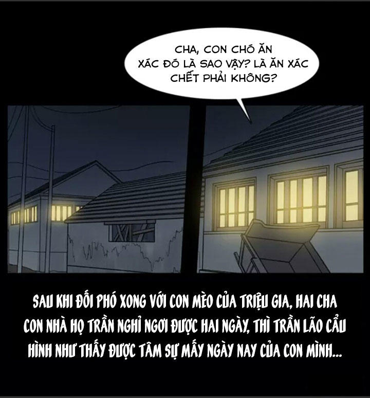 Chương 5