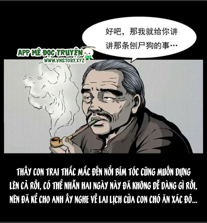 Chương 5