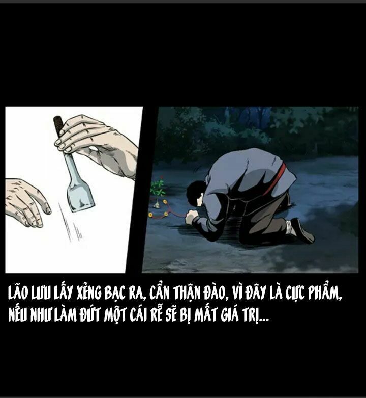 Chương 29