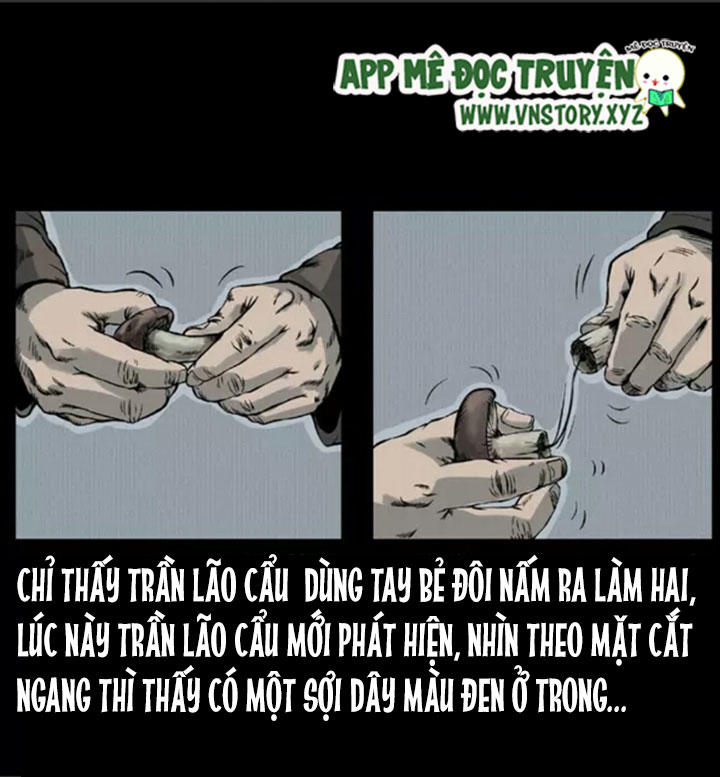 Chương 6