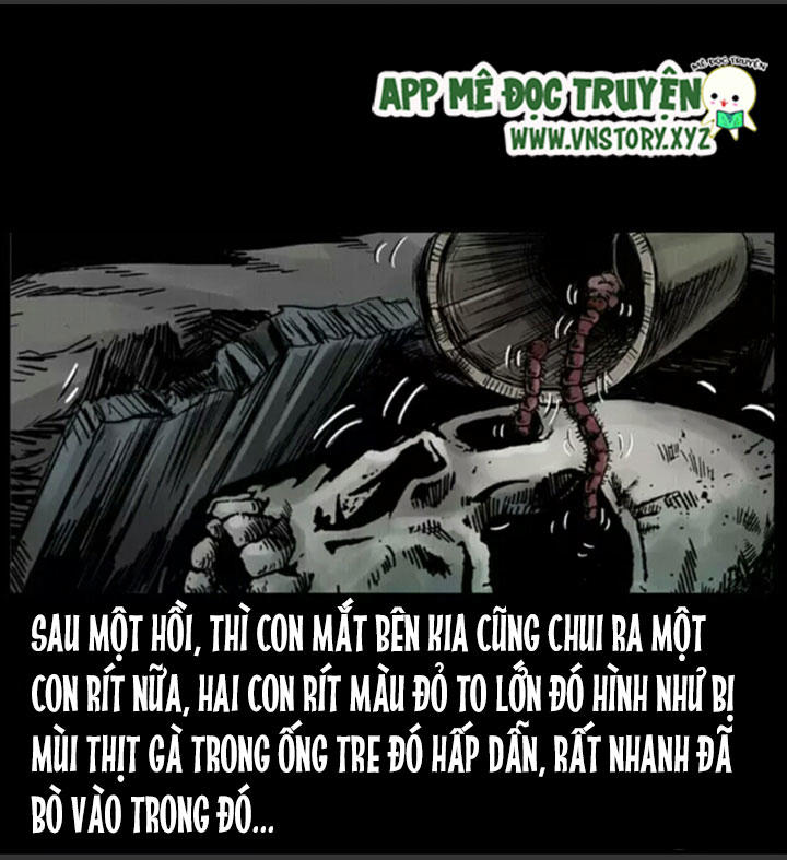 Chương 6